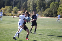 LCC Men's Soccer