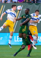 Portland Timbers Soccer