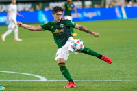 Portland Timbers Soccer