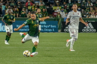 Portland Timbers Soccer